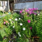 60let15-9-9a_17.jpg