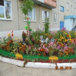 9mik4_14.jpg