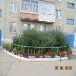 9mik4_21.jpg