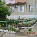 9mik4_6.jpg