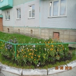 9mik7_3.jpg