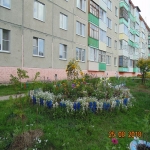 9mik8_12.jpg