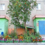 9mik8_31.jpg