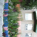 9mik8_35.jpg