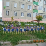 9mik8_8.jpg