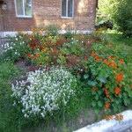 KarlaMrksa1-3_19.jpg