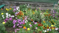 foto443_-_urickogo_6.jpg