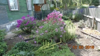 foto446_-_urickogo_6.jpg
