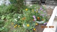 foto467_-_pobedy,51.jpg