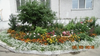 foto490_-_kirova,1.jpg