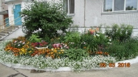 foto491_-_kirova,1.jpg