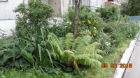 foto492_-_kirova,1.jpg