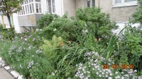 foto493_-_kirova,1.jpg