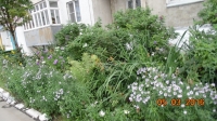 foto494_-_kirova,1.jpg