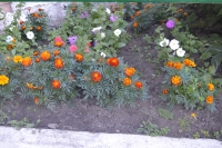 foto88_-_9_mikrorayon,_3.jpg