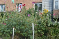 foto92_-_9_mikrorayon,_10.jpg
