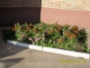 C:\\fakepath\\SDC10371.jpg