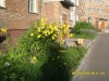 C:\\fakepath\\SDC10373.jpg