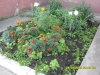 C:\\fakepath\\SDC10375.jpg
