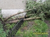 C:\\fakepath\\SDC11137.jpg