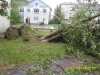 C:\\fakepath\\SDC11142.jpg
