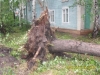 C:\\fakepath\\SDC11151.jpg
