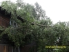 C:\\fakepath\\SDC11155.jpg