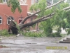 C:\\fakepath\\SDC11173.jpg