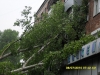C:\\fakepath\\SDC11174.jpg
