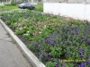 C:\\fakepath\\SDC11577.jpg
