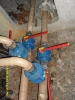 C:\\fakepath\\SDC11581.jpg