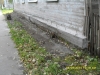 C:\\fakepath\\SDC11796.jpg